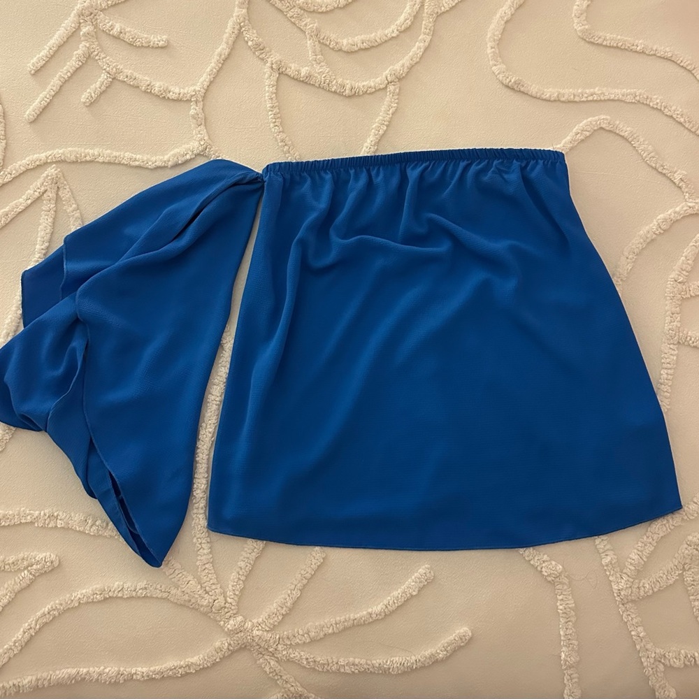 The Impeccable Pig Vibrant Blue Top